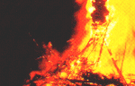 Bonfire in February