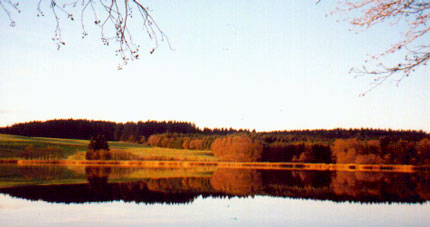 The lake in autumn